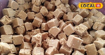 टेस्टी बर्फी 