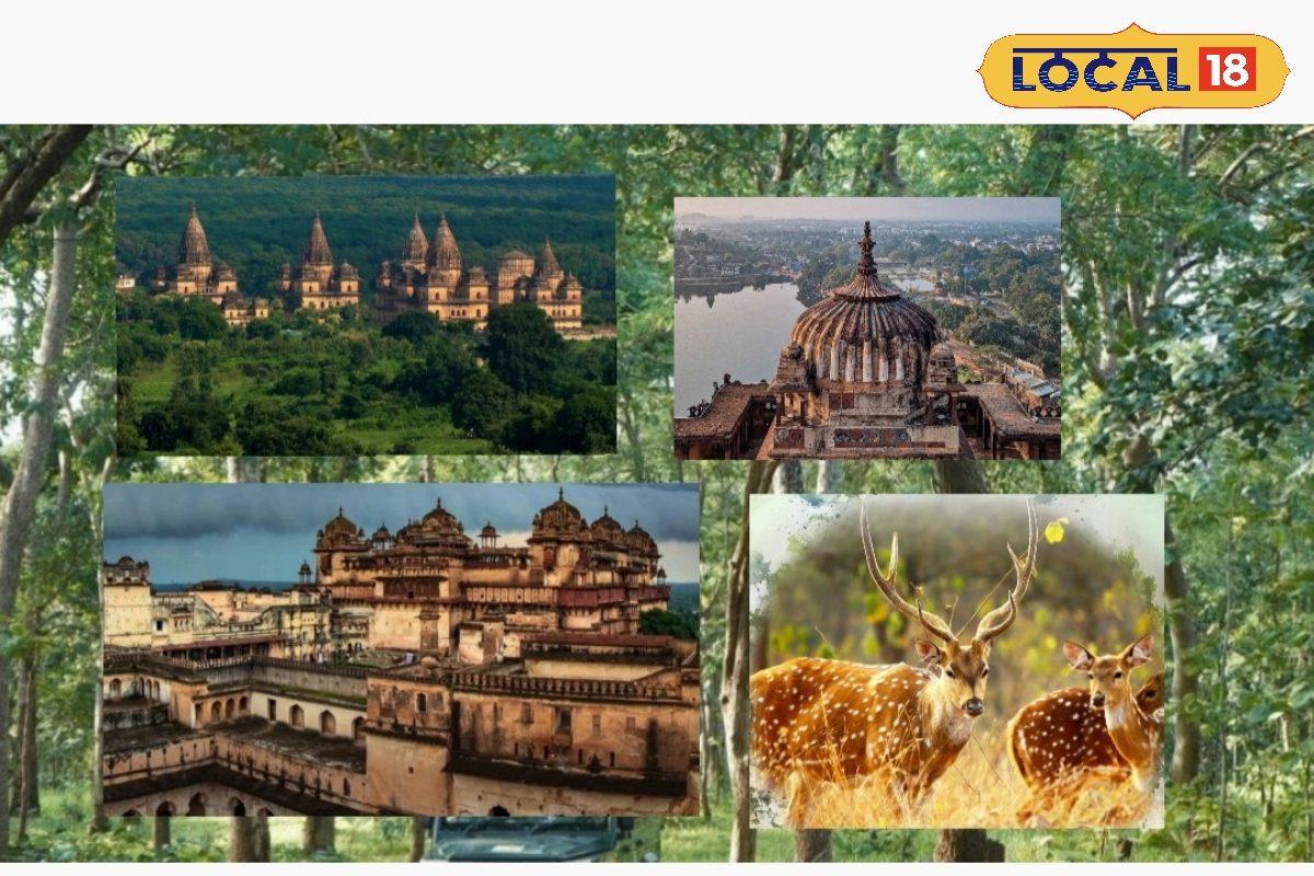 न्यू ईयर पर स्वर्ग जैसा सुकून! बुंदेलखंड के ये प्लेस ट्रिप बना देंगी यादगार