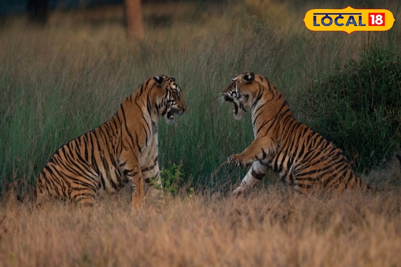 पन्ना जुगल किशोर 