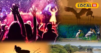 भरतपुर का केवलादेव नेशनल पार्क 