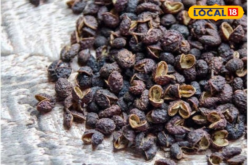 availability and identity of timur 