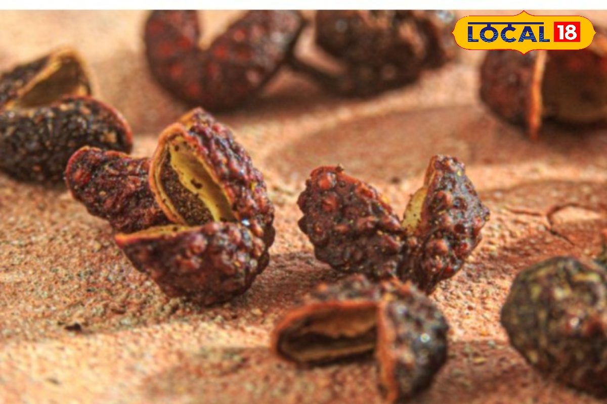 दांत दर्द से तड़प रहे हैं? पहाड़ों के तिमूर में इसका चमत्कारी इलाज