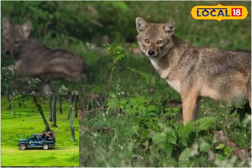 गोमर्दा वन्यजीव अभ्यारण गोमर्दा वन्यजीव अभ्यारण