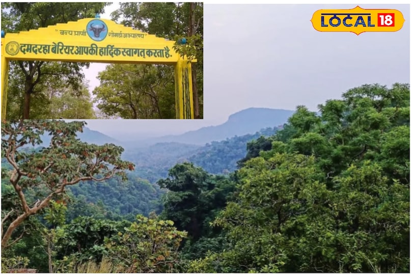 गोमर्दा वन्यजीव अभ्यारण गोमर्दा वन्यजीव अभ्यारण