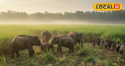 सांकेतिक फोटो.