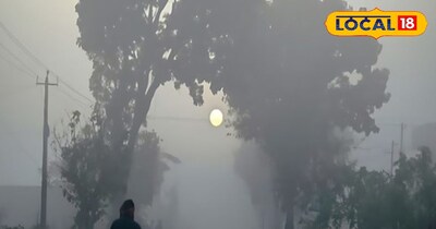 दिल्ली एनसीआर में कोहरा
