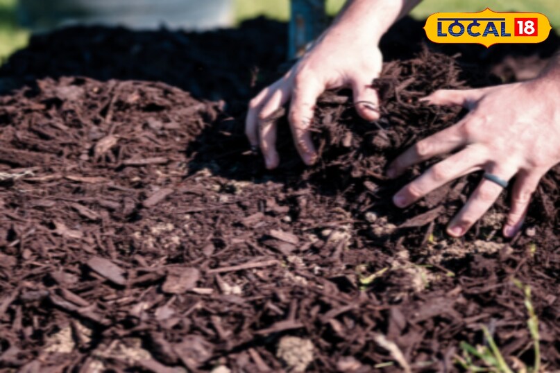 खाद तैयारी