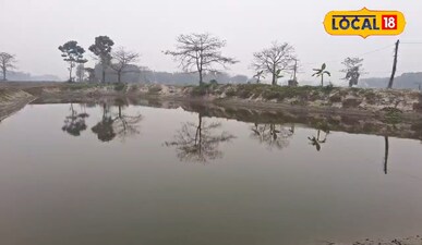 दोस्त के एक आइडिया ने बदली युवा किसान की किस्मत मछली पालन से बदली किस्मत, एक सीज