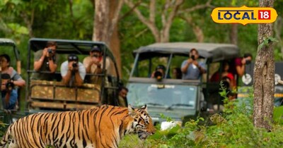 थर्टी फर्स्ट के मौके पर जिम कॉर्बेट नेशनल पार्क हाउस फुल 