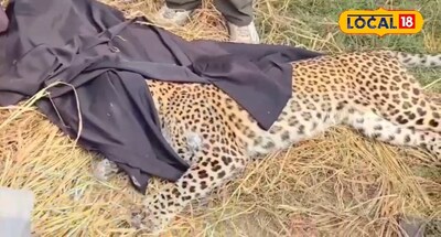 फाइल फोटो.