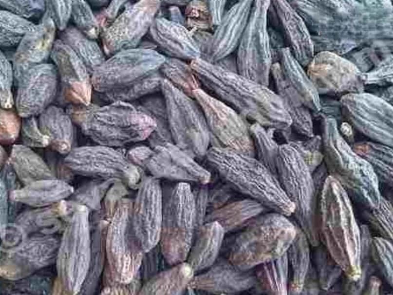 हरीतकी का स्वाद कसैला, कड़वा, हल्का मीठा और थोड़ा तीखा होता है. इसमें एंटीऑक्सिडेंट, एंटी-बैक्टीरियल और एंटी-इंफ्लेमेटरी गुण पाए जाते हैं, जो कई बीमारियों के उपचार में लाभकारी होते हैं.