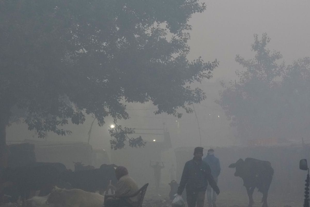 आधे भारत पर आज आफत! हवा में घुला जहर तो जमीन पर काले कोहरे का कहर