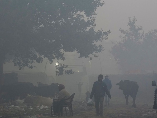 आधे भारत पर आज आफत! हवा में घुला जहर तो जमीन पर 'काले कोहरे' का कहर