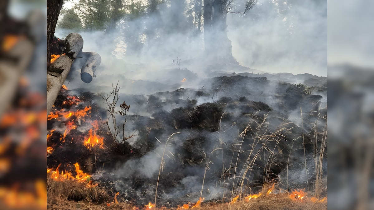 पाकिस्तान की नई चाल, LoC पर जंगल में आग लगाकर कर रहा लैंडमाइन ब्लास्ट