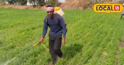 Farmers urged to insure crops by Dec 31; low premium, disaster coverage