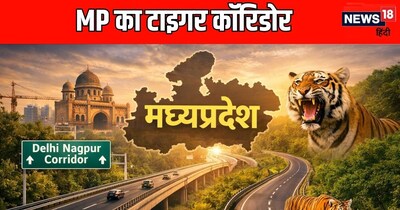 एमपी का हाईस्पीड टाइगर कॉरिडोर