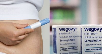 मोटापे की दवा 