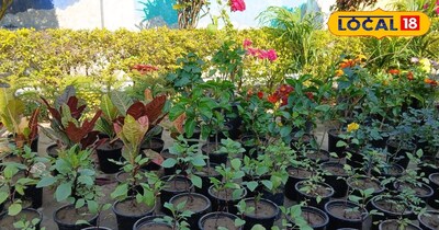 नर्सरी का बिजनेस