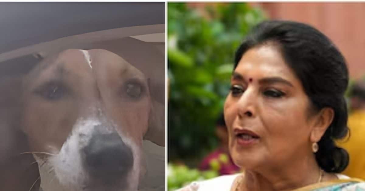 LIVE: संसद परिसर में क्यों भौं-भौं करने लगीं कांग्रेस की रेणुका चौधरी