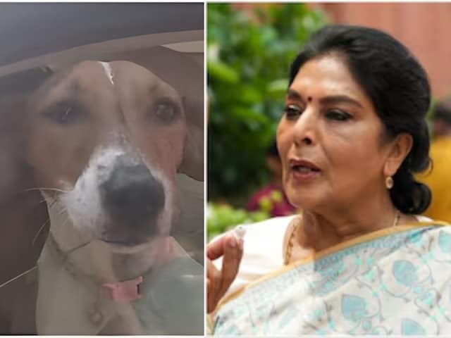 संसद परिसर में क्यों भौं-भौं करने लगीं कांग्रेस की रेणुका चौधरी संसद परिसर में क्यों भौं-भौं करने लगीं कांग्रेस की रेणुका चौधरी