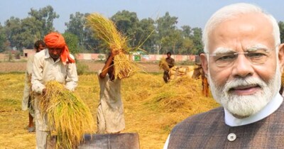 चावल उत्पादन में भारत ने चीन को पीछे छोड़ दिया है.