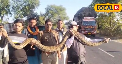 15 फीट के अजगर का रेस्क्यू.