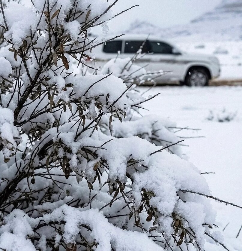 Saudi Arabia News , Saudi Arabia weather, Saudi Arabia snowfall, Saudi Arabia rain, Saudi Arabia cold wave, climate change Saudi Arabia, Tabuk snowfall, Riyadh weather, सऊदी अरब , सऊदी अरब मौसम, सऊदी में बर्फबारी क्यों, सऊदी अरब में ठंड क्यों Saudi Arabia News , Saudi Arabia weather, Saudi Arabia snowfall, Saudi Arabia rain, Saudi Arabia cold wave, climate change Saudi Arabia, Tabuk snowfall, Riyadh weather, सऊदी अरब , सऊदी अरब मौसम, सऊदी में बर्फबारी क्यों, सऊदी अरब में ठंड क्यों