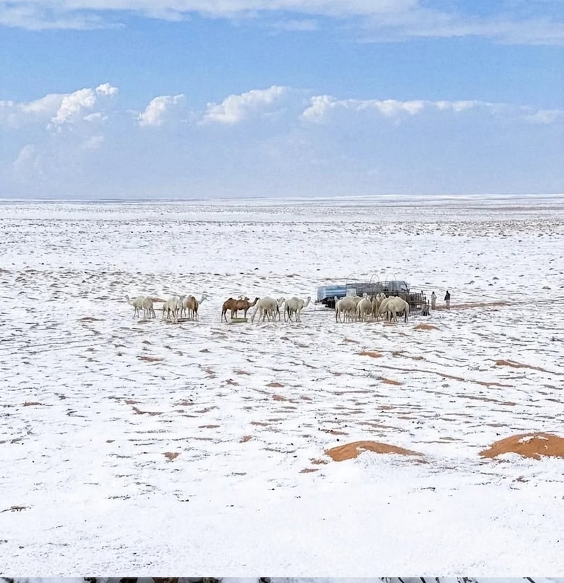 Saudi Arabia News , Saudi Arabia weather, Saudi Arabia snowfall, Saudi Arabia rain, Saudi Arabia cold wave, climate change Saudi Arabia, Tabuk snowfall, Riyadh weather, सऊदी अरब , सऊदी अरब मौसम, सऊदी में बर्फबारी क्यों, सऊदी अरब में ठंड क्यों Saudi Arabia News , Saudi Arabia weather, Saudi Arabia snowfall, Saudi Arabia rain, Saudi Arabia cold wave, climate change Saudi Arabia, Tabuk snowfall, Riyadh weather, सऊदी अरब , सऊदी अरब मौसम, सऊदी में बर्फबारी क्यों, सऊदी अरब में ठंड क्यों
