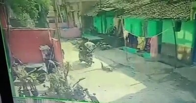 Jamshedpur: Dog Lured, Beaten, Dragged 1km by Bike; Accused Bailed After Viral Video