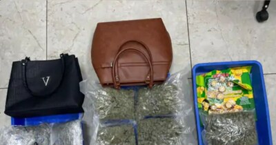 Woman Arrested at Surat Airport with ₹1 Crore Hydroponic Cannabis from Bangkok