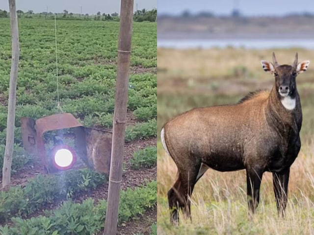 भाई क्या जुगाड़ निकाला है! खाली तेल के डिब्बों से बना दी यह चीज
