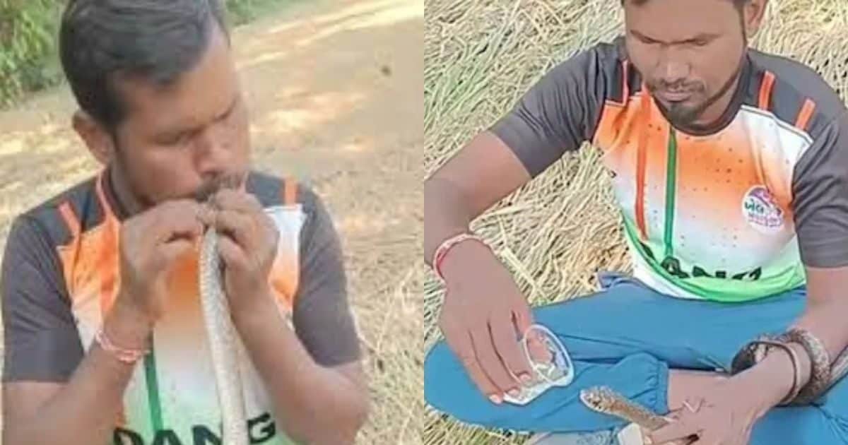 सांप की रुक गई दिल की धड़कन, लड़के ने CPR देकर बचा दी जान