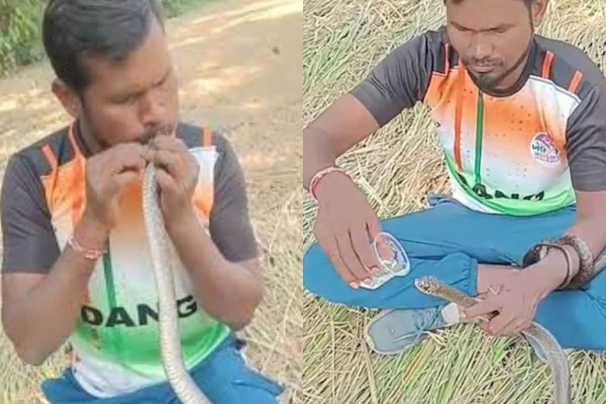 सांप की रुक गई दिल की धड़कन लड़के ने CPR देकर बचा दी जान