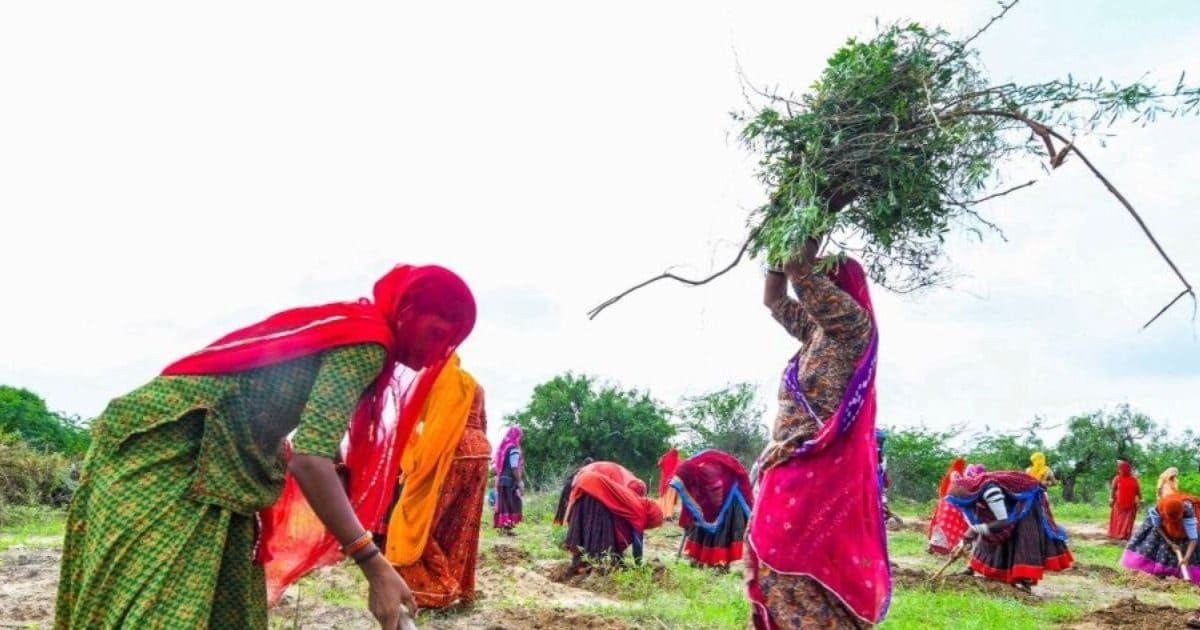 'विकसित भारत, जी राम जी', सरकार ने बदल दिए मनरेगा के नियम, जानें नया कानून