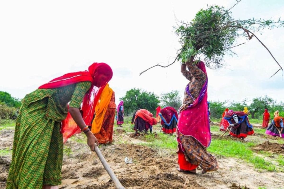 विकसित भारत जी राम जी सरकार ने बदल दिए मनरेगा के नियम जानें नया कानून