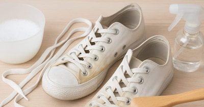 शूज कैसे साफ करें