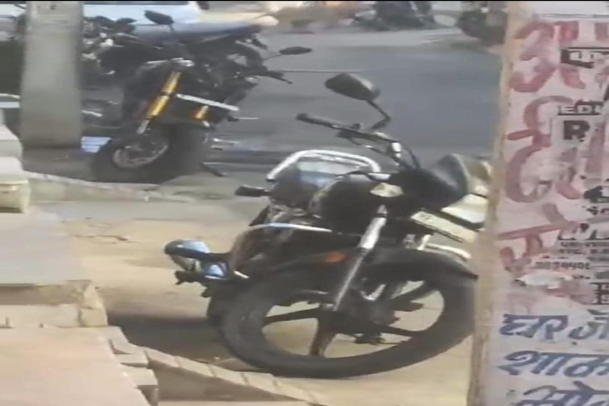 उदयपुर कृष्णपुरा में घर में घुसा लेपर्ड वन विभाग ने किया रेस्क्यू