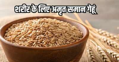 गेहूं के फायदे.