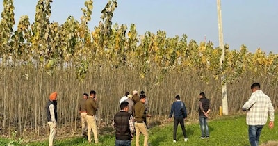 महिला के शरीर से गर्दन गायब है और वह अर्धनग्न अवस्था में मिली है.