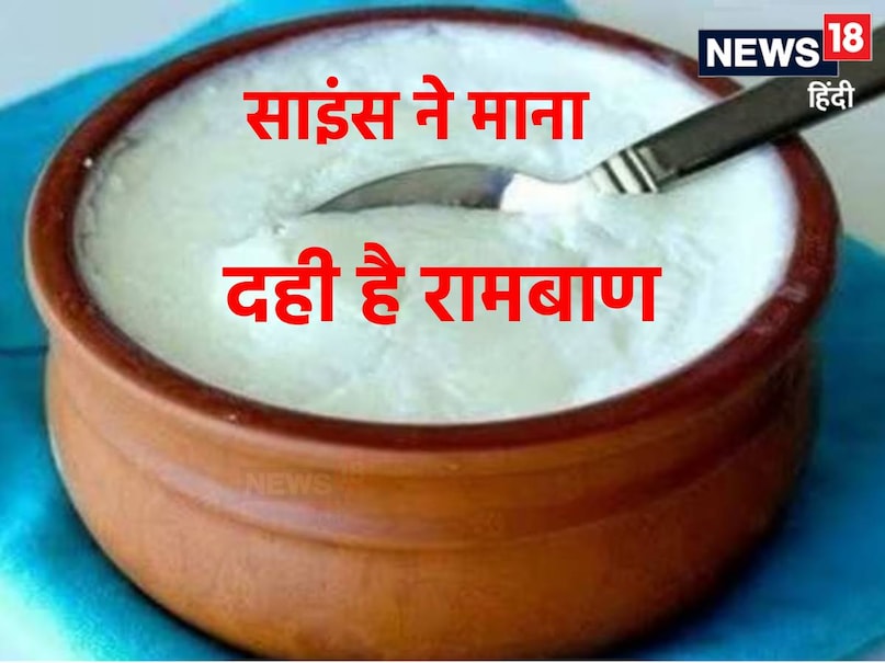 दही के फायदे वैसे तो आयुर्वेद में काफी बताए जाते हैं लेकिन अब मेडिकल साइंस ने भी इसे मानना शुरू कर दिया है.हाल ही में एम्स में हुई रिसर्च में दही में मौजूद तत्व का ऐसा फायदा सामने आया है जिससे महिलाओं के जीवन की सबसे बड़ी समस्या का समाधान मिल सकता है. दही के फायदे वैसे तो आयुर्वेद में काफी बताए जाते हैं लेकिन अब मेडिकल साइंस ने भी इसे मानना शुरू कर दिया है.हाल ही में एम्स में हुई रिसर्च में दही में मौजूद तत्व का ऐसा फायदा सामने आया है जिससे महिलाओं के जीवन की सबसे बड़ी समस्या का समाधान मिल सकता है.