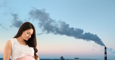 एयर पॉल्यूशन के कारण प्रेग्नेंट महिलाओं की सेहत बुरी तरह प्रभावित होती है.