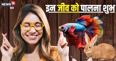 इन 5 जीव को घर में पालना बेहद शुभ.  (Canva)