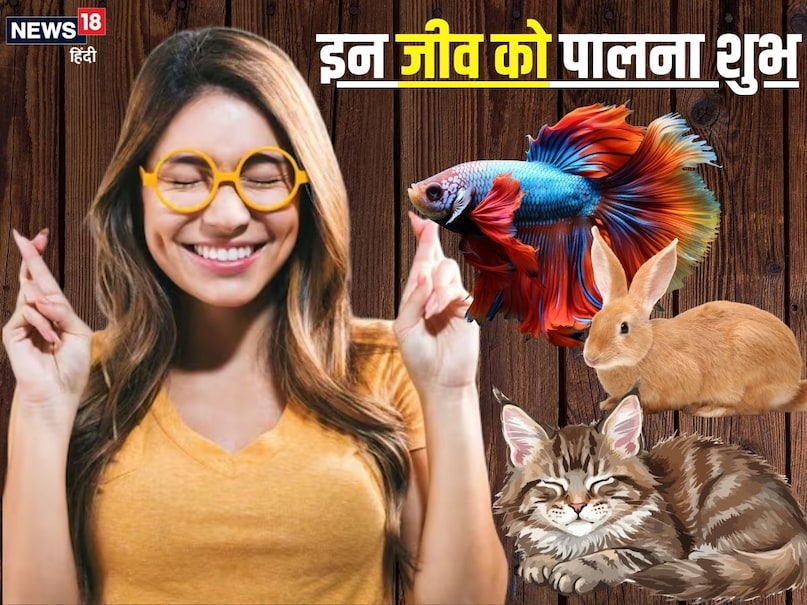 ज्योतिषाचार्य के मुताबिक, जीव-जंतुओं को पालना शुभ माना जाता है, क्योंकि यह न केवल भावनात्मक जुड़ाव और खुशी देता है, बल्कि वास्तु और ज्योतिष के अनुसार घर में सकारात्मक ऊर्जा, धन, सुख-समृद्धि और सौभाग्य भी लाता है.  (Image- Canva)