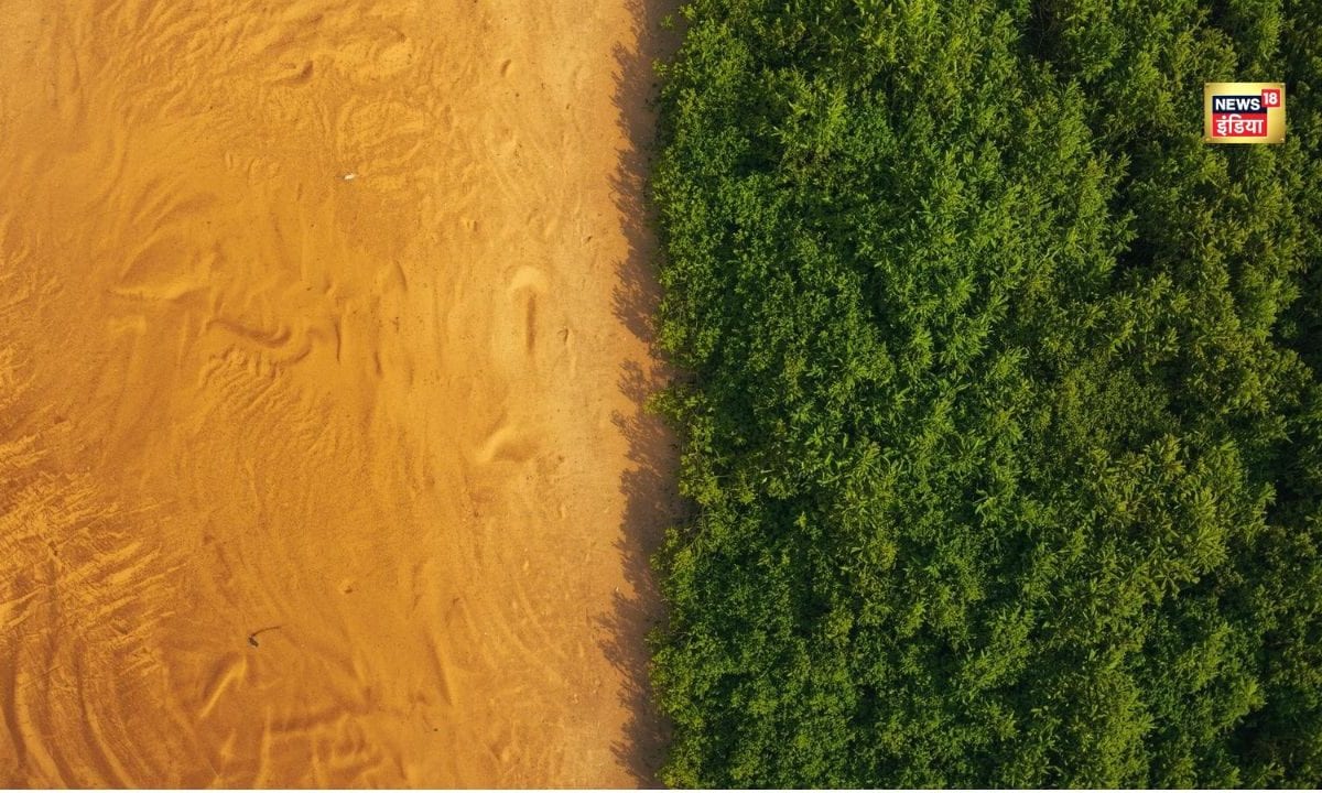 एक तरफ रेत ही रेत दूसरी ओर हरियाली देखिये अरावली न हो तो क्या होगा हमारा-आपका हाल