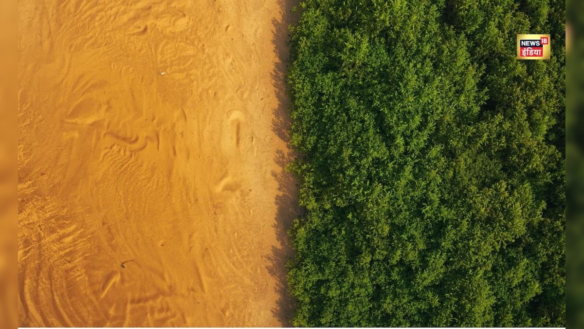 एक तरफ रेत ही रेत, दूसरी ओर हरियाली, देखिये अरावली न हो तो क्या होगा हमारा-आपका हाल