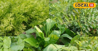 भरतपुर मंडियों में सर्दियों की सब्ज़ियों की धूम—चने का साग. बथुआ और गाजर गजरा की बढ़ी मांग.