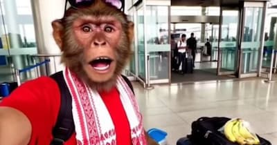 एआई आधारित यूट्यूब चैनल बंदर अपना दोस्‍त ने 38 करोड़ रुपये कमाए. 