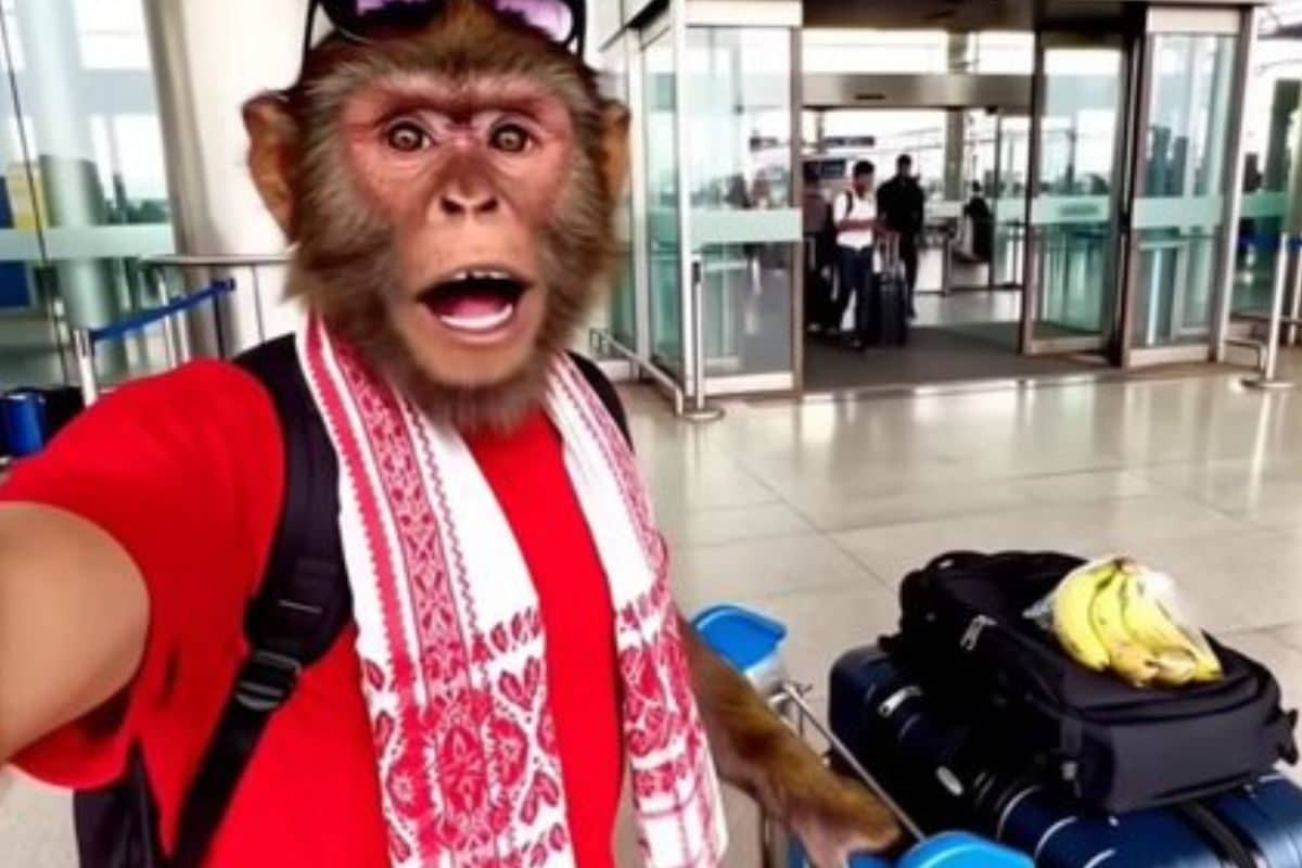 एआई बंदर पालकर कमा लिए 38 करोड़ रुपये वह भी सिर्फ सालभर में