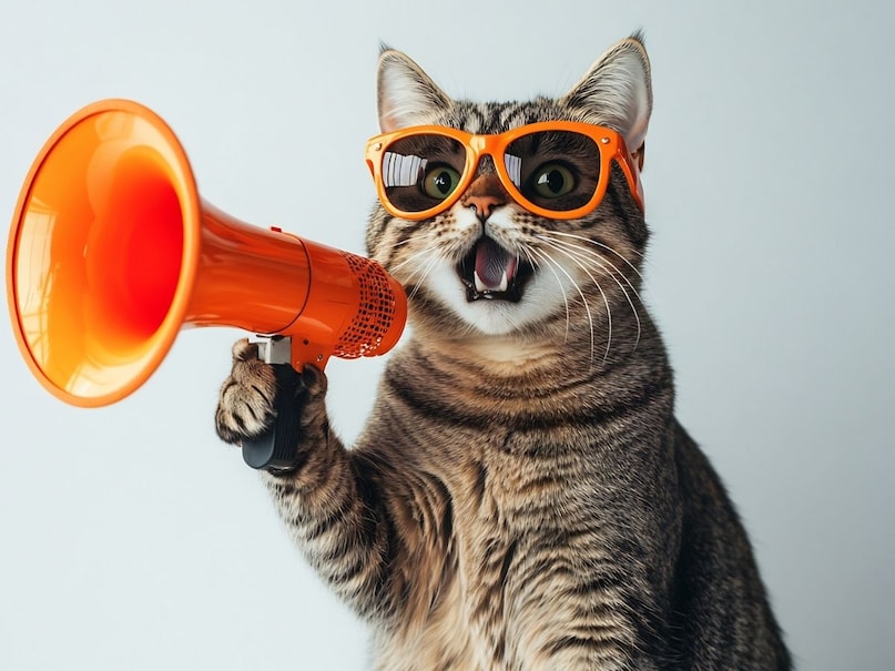 बिल्ली: घर में राशि के अनुसार बिल्ली पालना भी बहुत शुभ माना जाता है. इसे पालने से स्वास्थ्य लाभ होते हैं. जिन लोगों में सुस्ति छाई रहती है, उनके लिए बिल्ली पालना अच्छा होता है. इसके अलावा, बिल्लियां स्ट्रेस से निपटने में मदद करती हैं.  (Image- Canva)