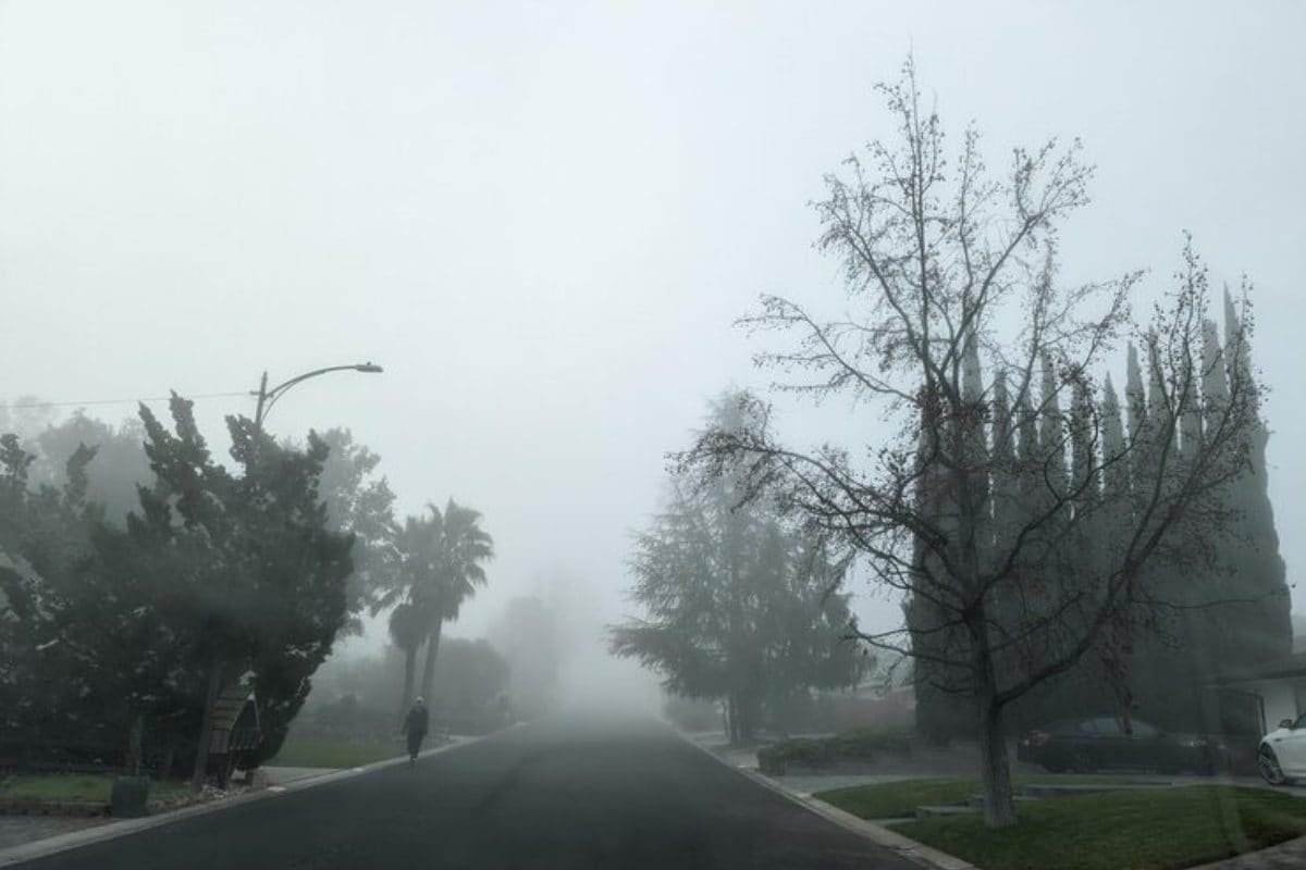 छत्तीसगढ़ में सर्दी और कोहरे का डबल कहर, संभलकर निकलें घर से